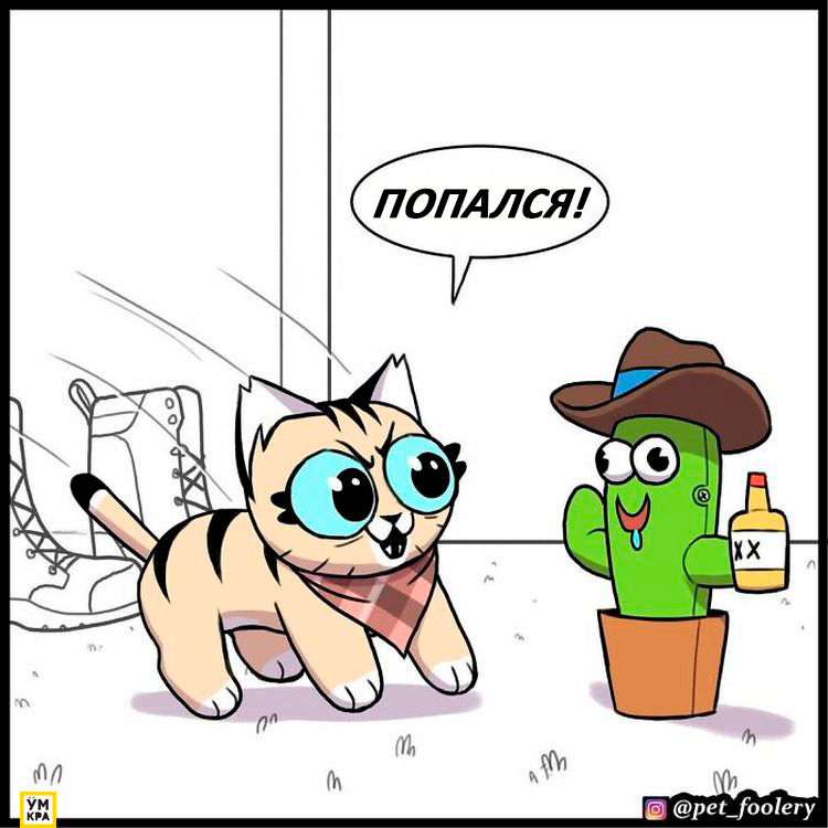 06-21-34-1623868486490855834