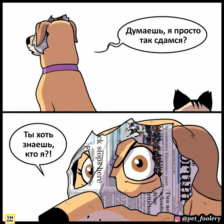 06-21-34-16238684882051760327