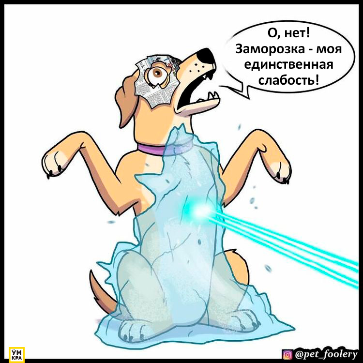 06-21-34-16238684901657626405