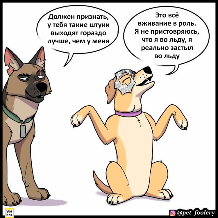 06-21-34-162386849051078396