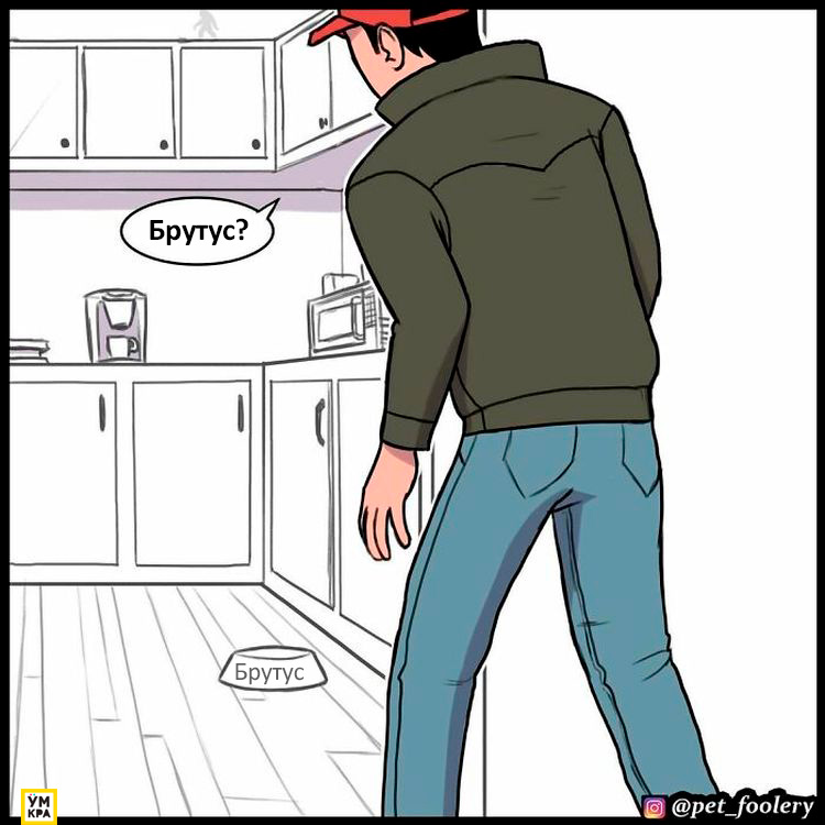 06-21-34-1623868491697951314