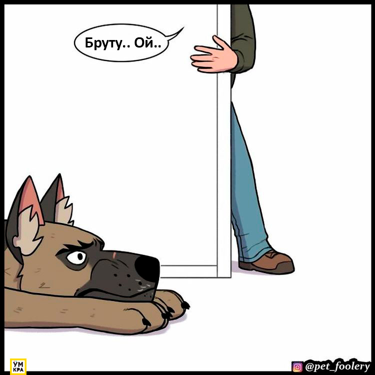 06-21-34-16238684941376533581