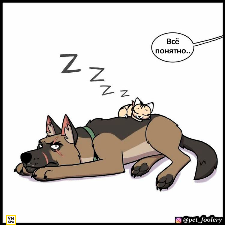 06-21-34-1623868494192871395