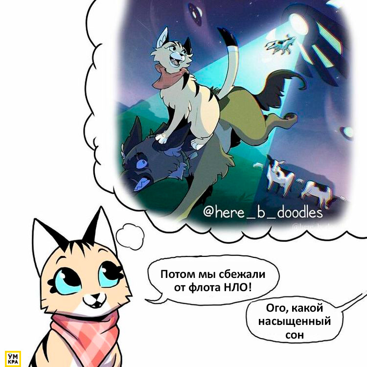 06-21-35-16238685011929451433