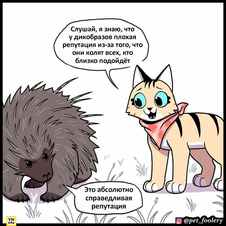 06-21-35-1623868507827063208