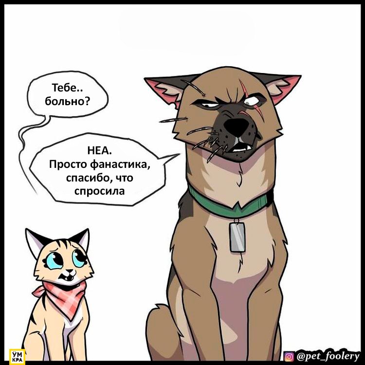 06-21-35-16238685142031661584