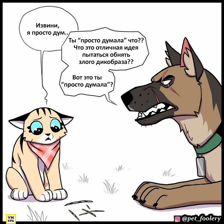 06-21-35-16238685161946872815