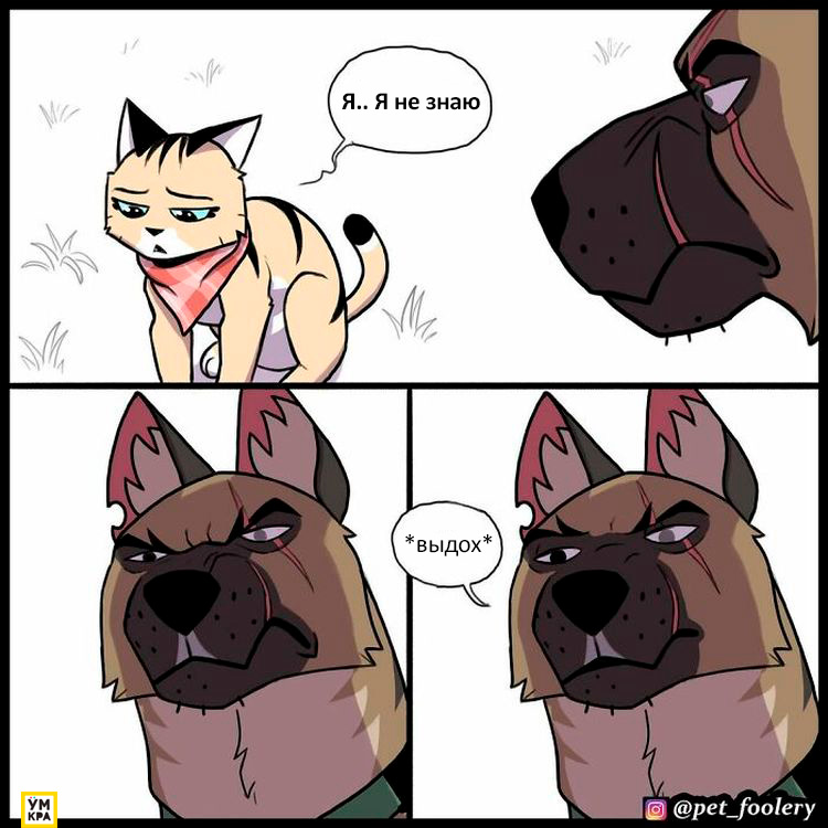 06-21-35-16238685171978129762