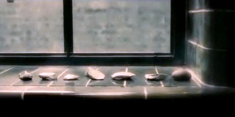 07-00-02-16274197721072747200