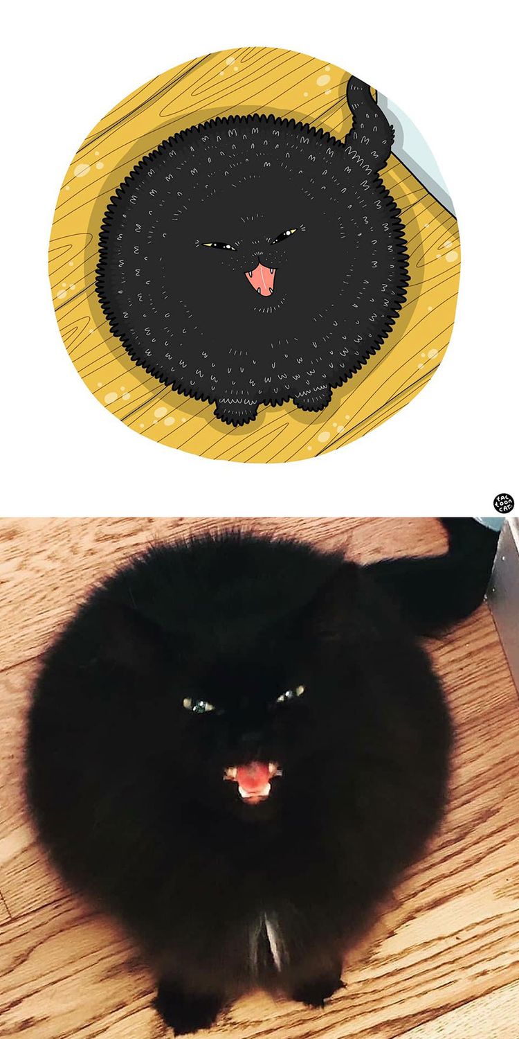 07-10-33-16275439861713827808