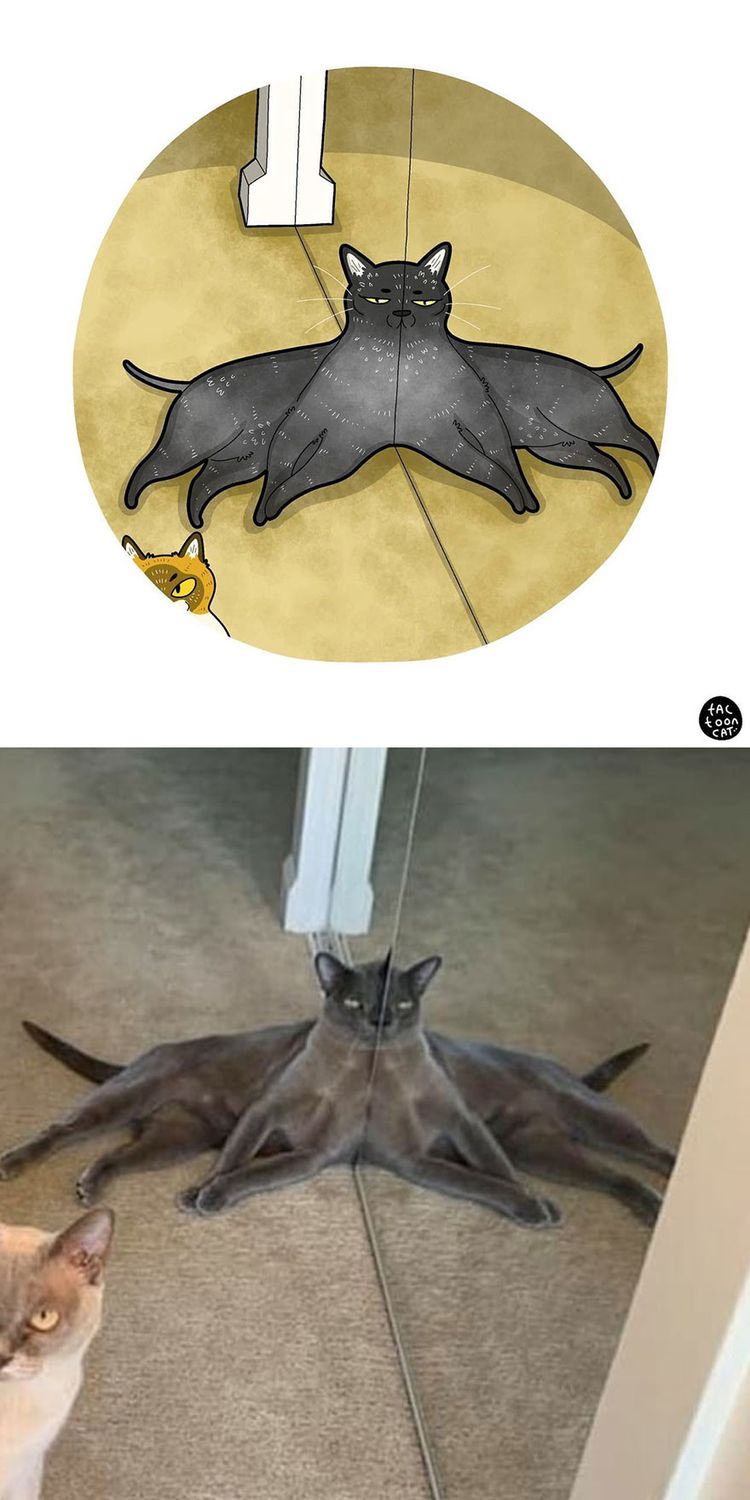 07-10-33-16275439871886903122