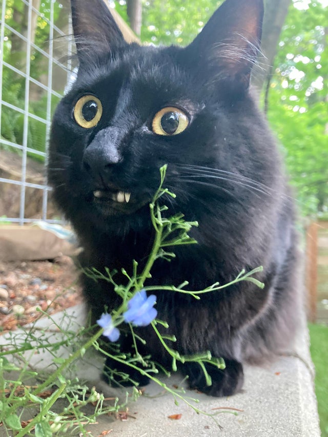 07-10-43-16256438281771098630