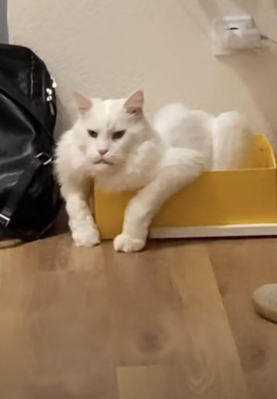 07-10-43-1625643831470433840