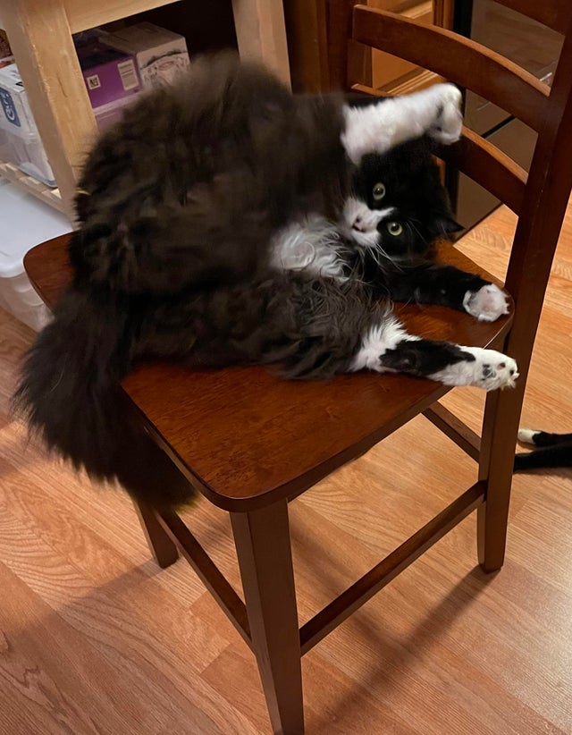 07-10-44-16256438401691193251