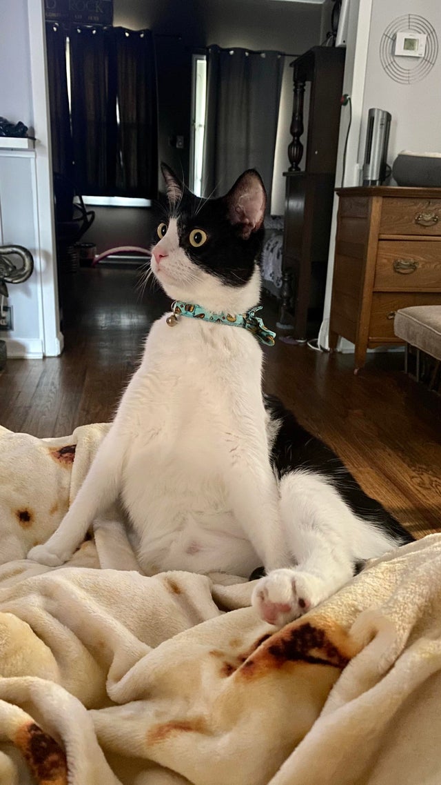 07-10-44-16256438431217413332