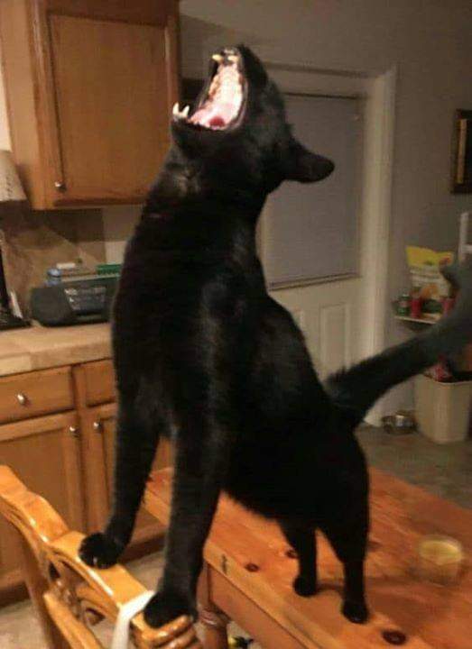 07-10-44-16256438472099139569