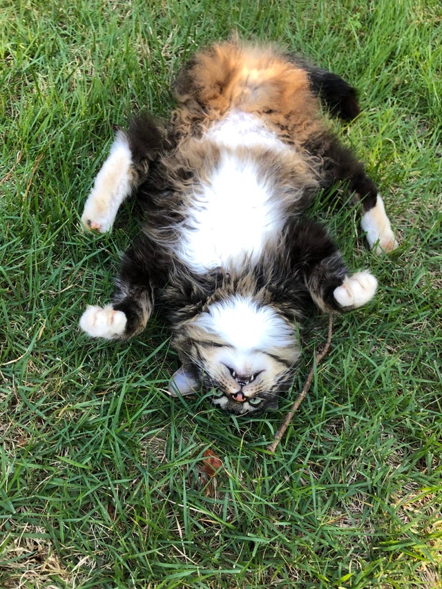 07-10-44-1625643855927665265