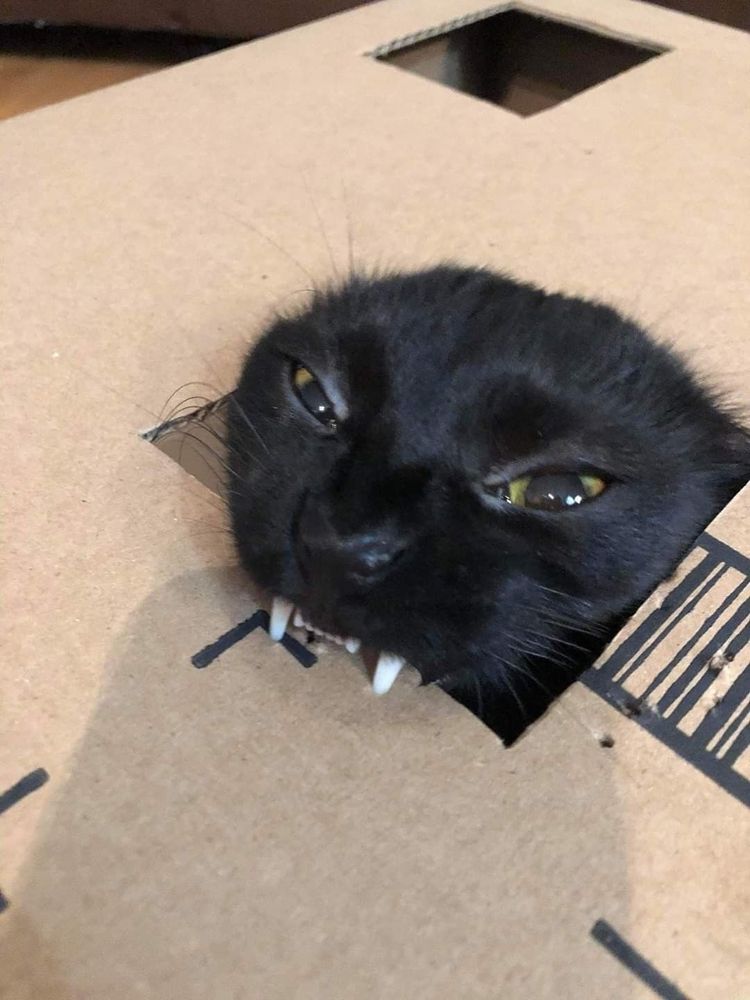 07-10-44-16256438641990675082