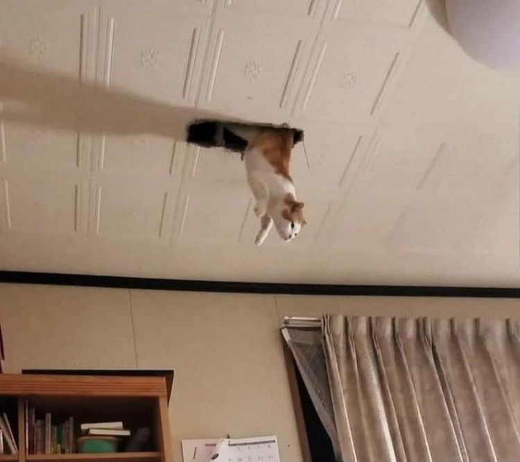 07-10-44-16256438712095801489