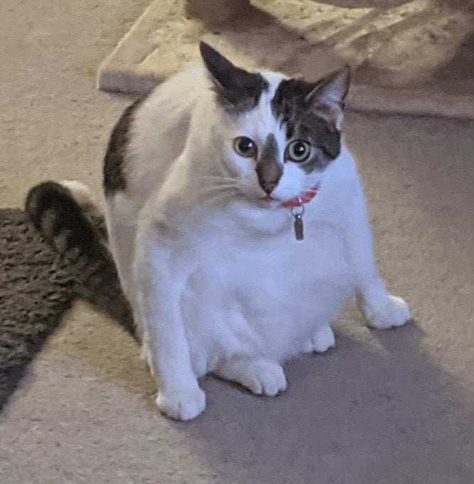 07-10-44-1625643874574991090