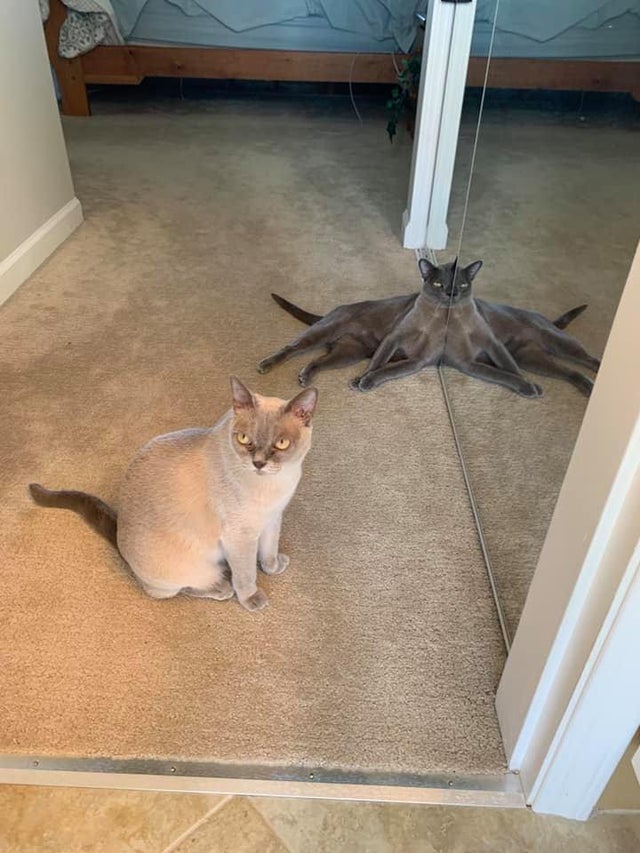 07-10-44-16256438801504475024