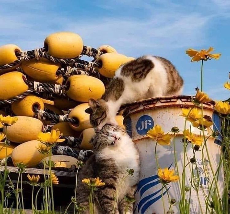 07-10-44-1625643886273725524