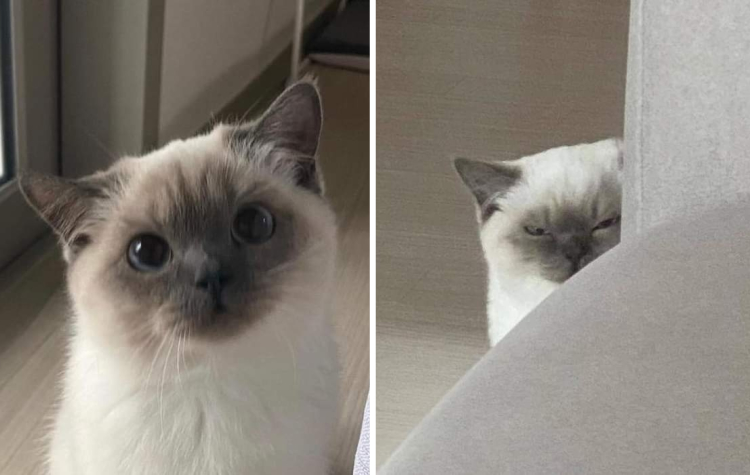 07-10-44-16256438881576598685