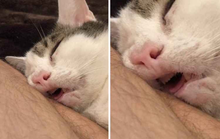 07-10-44-1625643895420817275