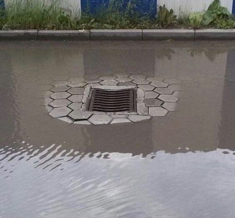 07-11-28-1626251323349741648