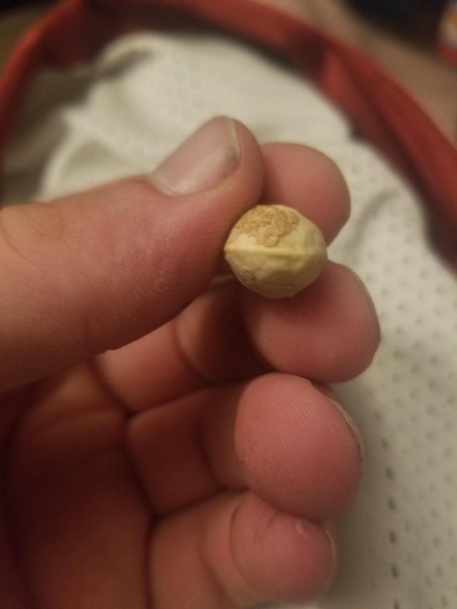 07-11-28-16262513361192630315