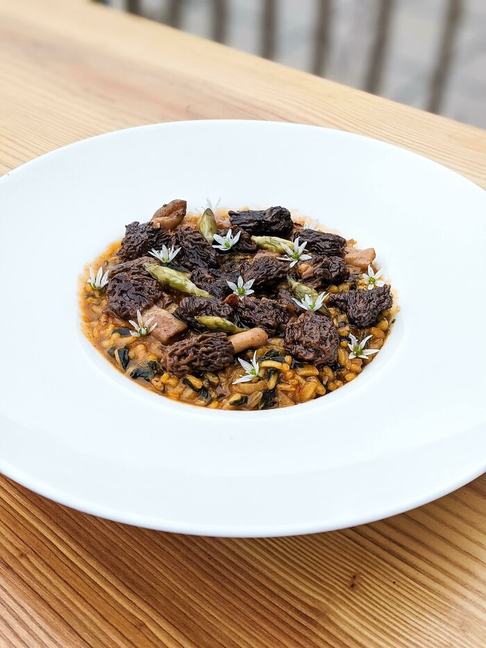 07-11-46-1627375571828358440