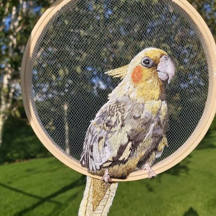 07-11-50-16269438471604033323