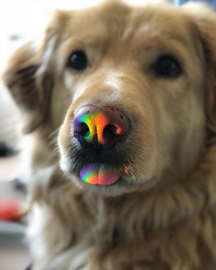 07-12-11-16251306641696919545