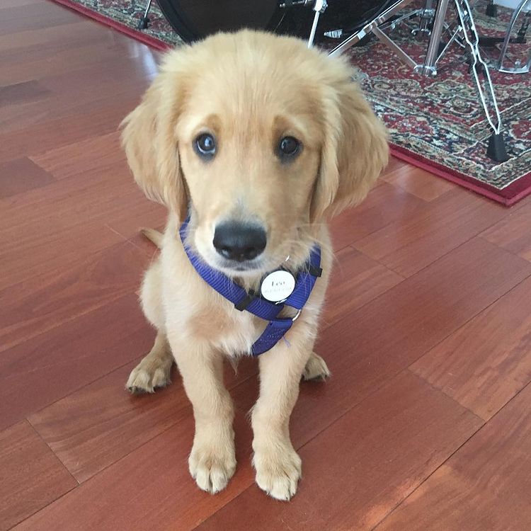 07-12-11-16251306701445460802