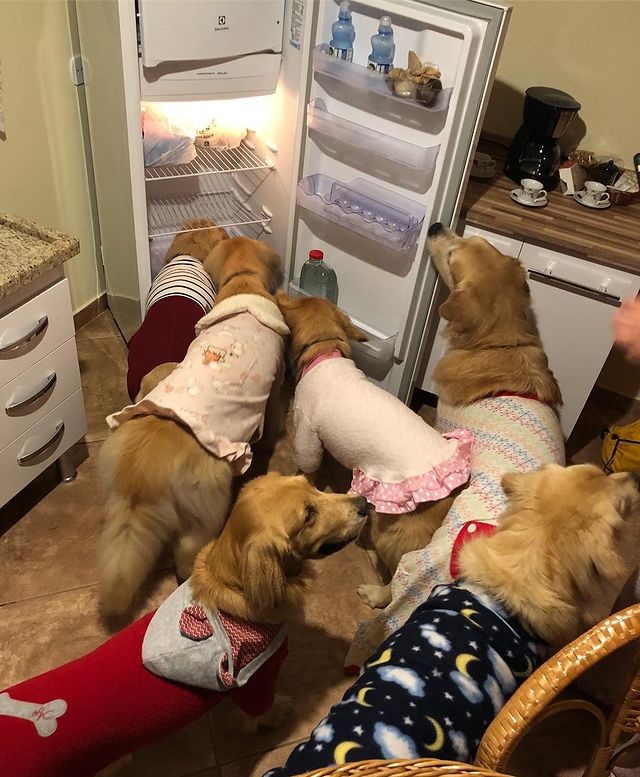 07-12-11-1625130673364496424