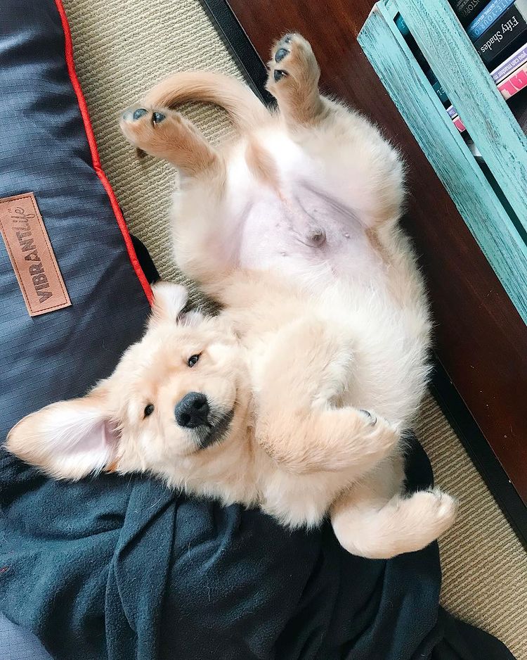 07-12-11-162513067619552571