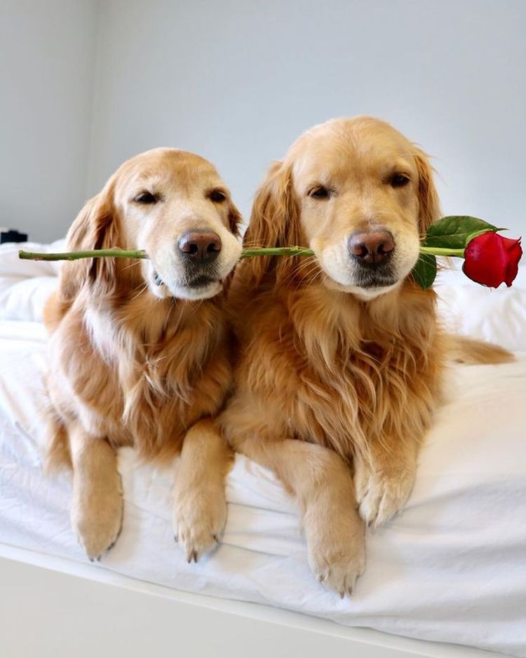 07-12-11-1625130680837799441