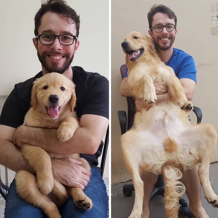 07-12-11-16251306841007821677