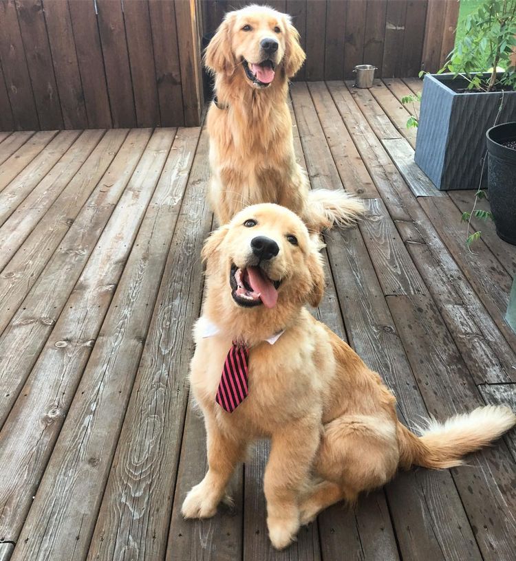 07-12-11-1625130693528541381