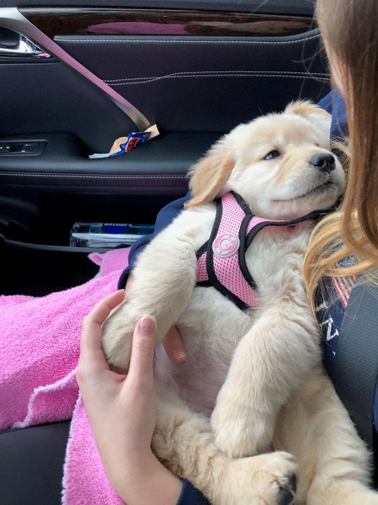 07-12-11-16251307101998867414