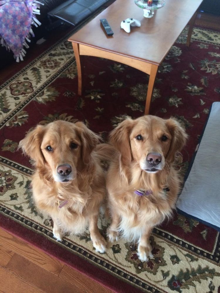 07-12-11-16251307192035282663