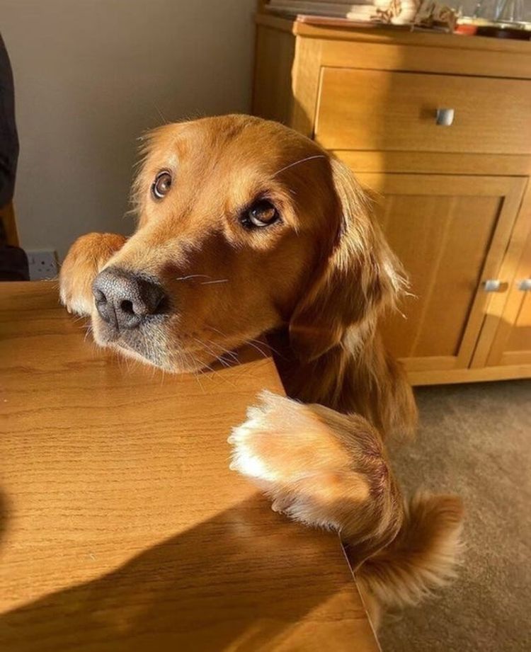 07-12-12-16251307251567069504