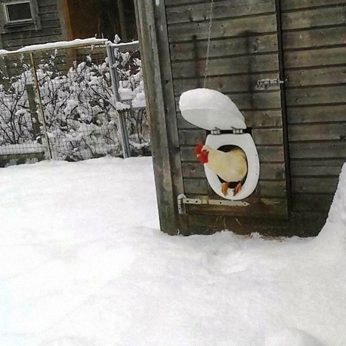 07-12-30-1627637444833342957