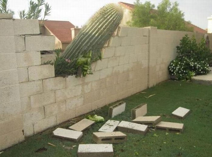 07-12-31-16276374931476791133