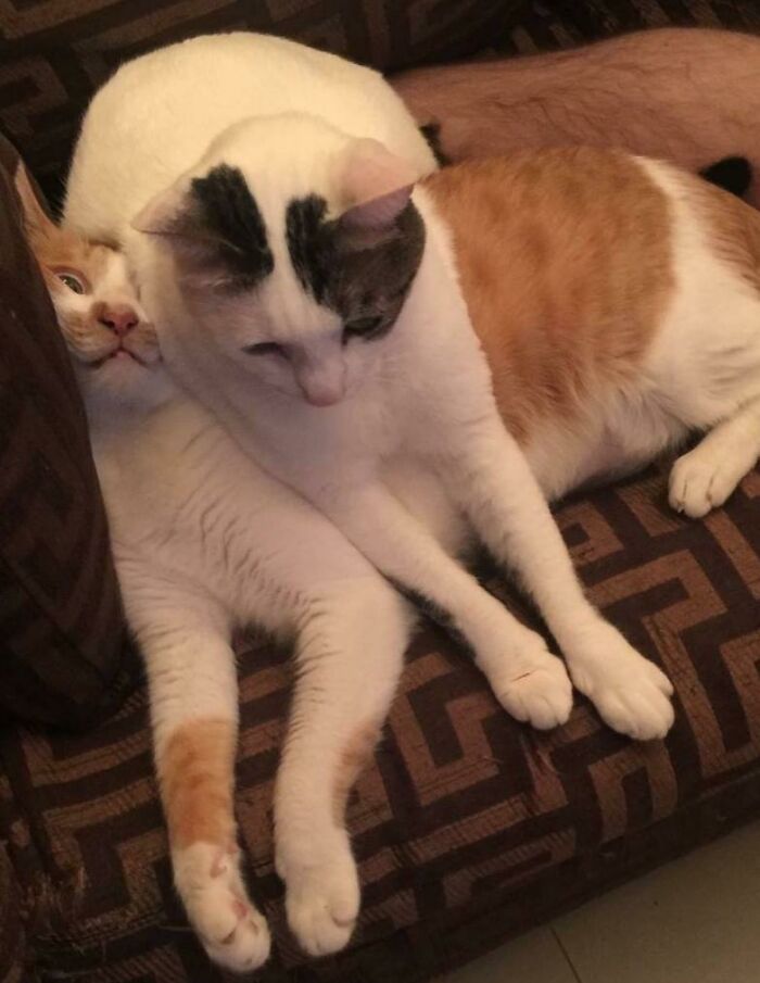 07-12-39-1625823557322382466