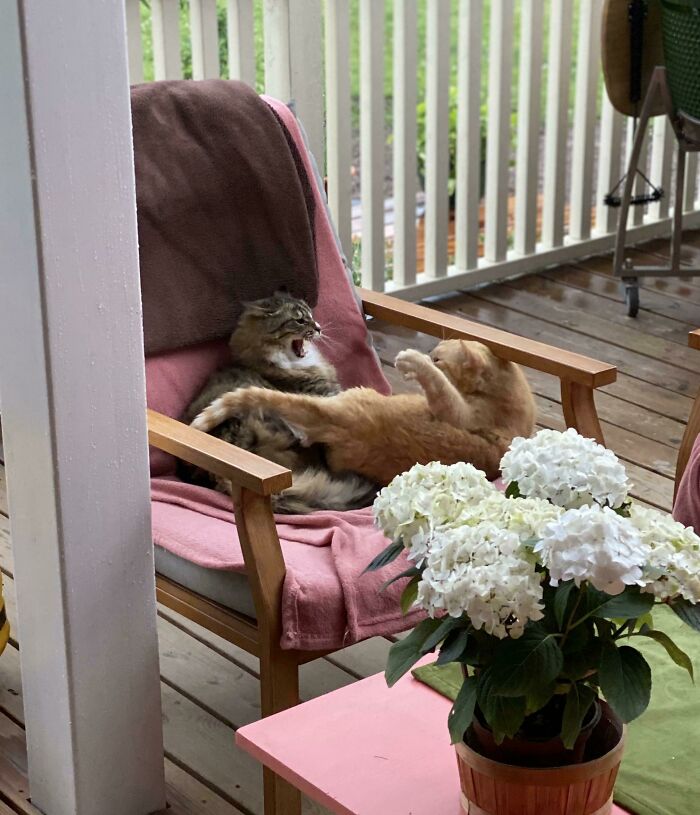 07-12-39-1625823561223424660