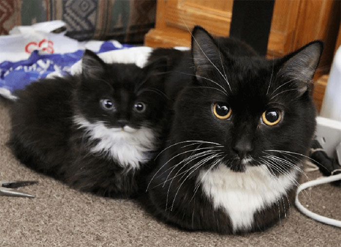 07-12-39-16258235651530237840