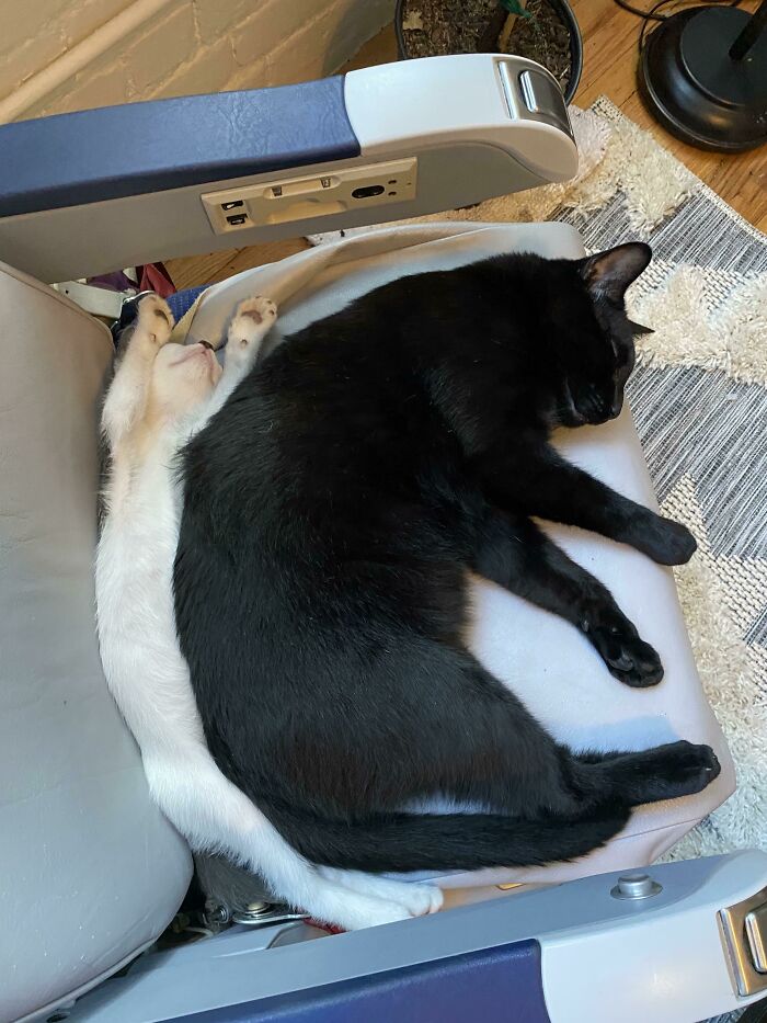 07-12-39-16258235761035571347