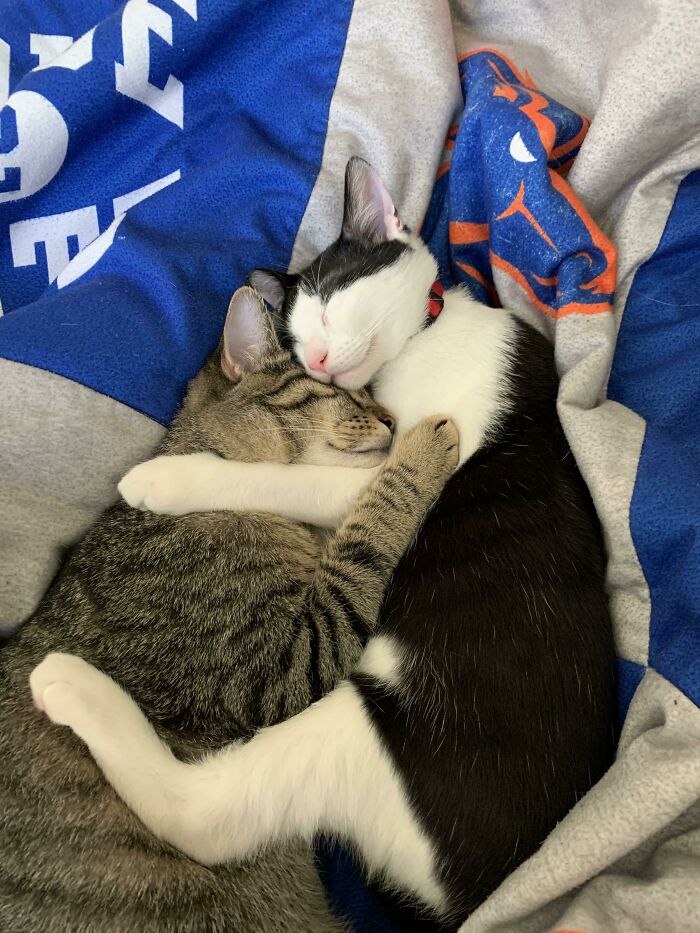 07-12-42-16258237281117264693