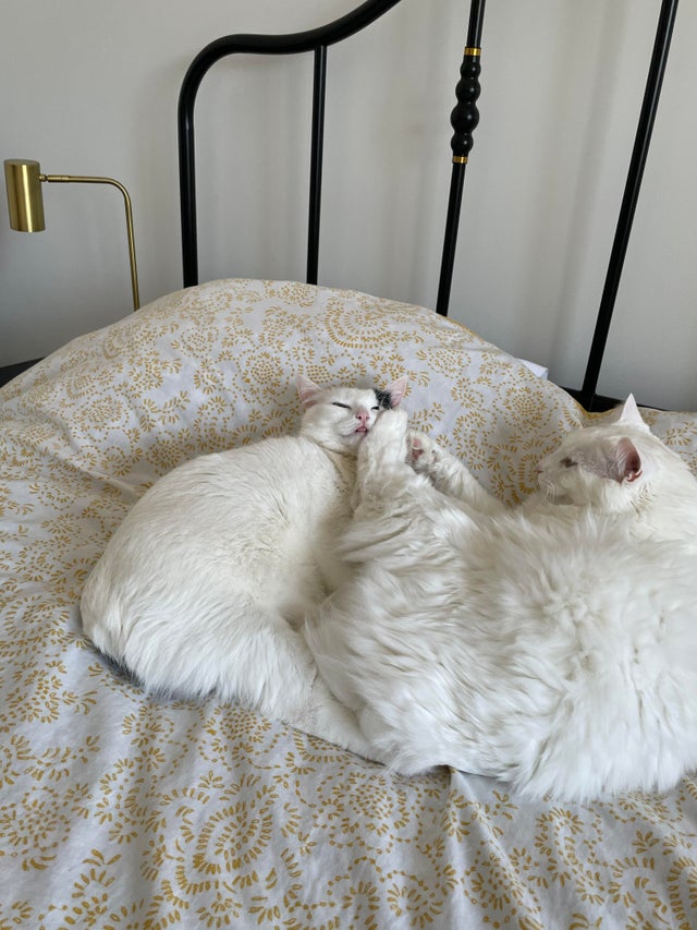 07-12-42-1625823732725052865